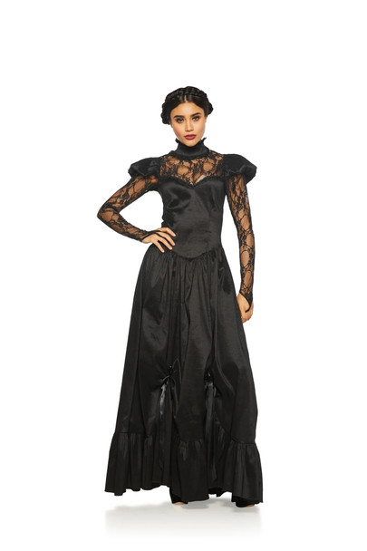 Black Goth Gown w/ Lace Dress Adult Women's Halloween Costume LARGE 8-10