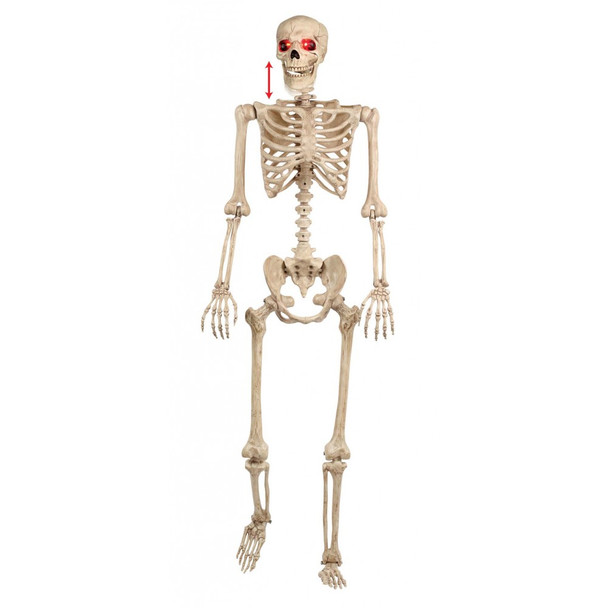 LIfe Size 5' Poseable Pose-n-Stay Skeleton Halloween Prop Haunted House