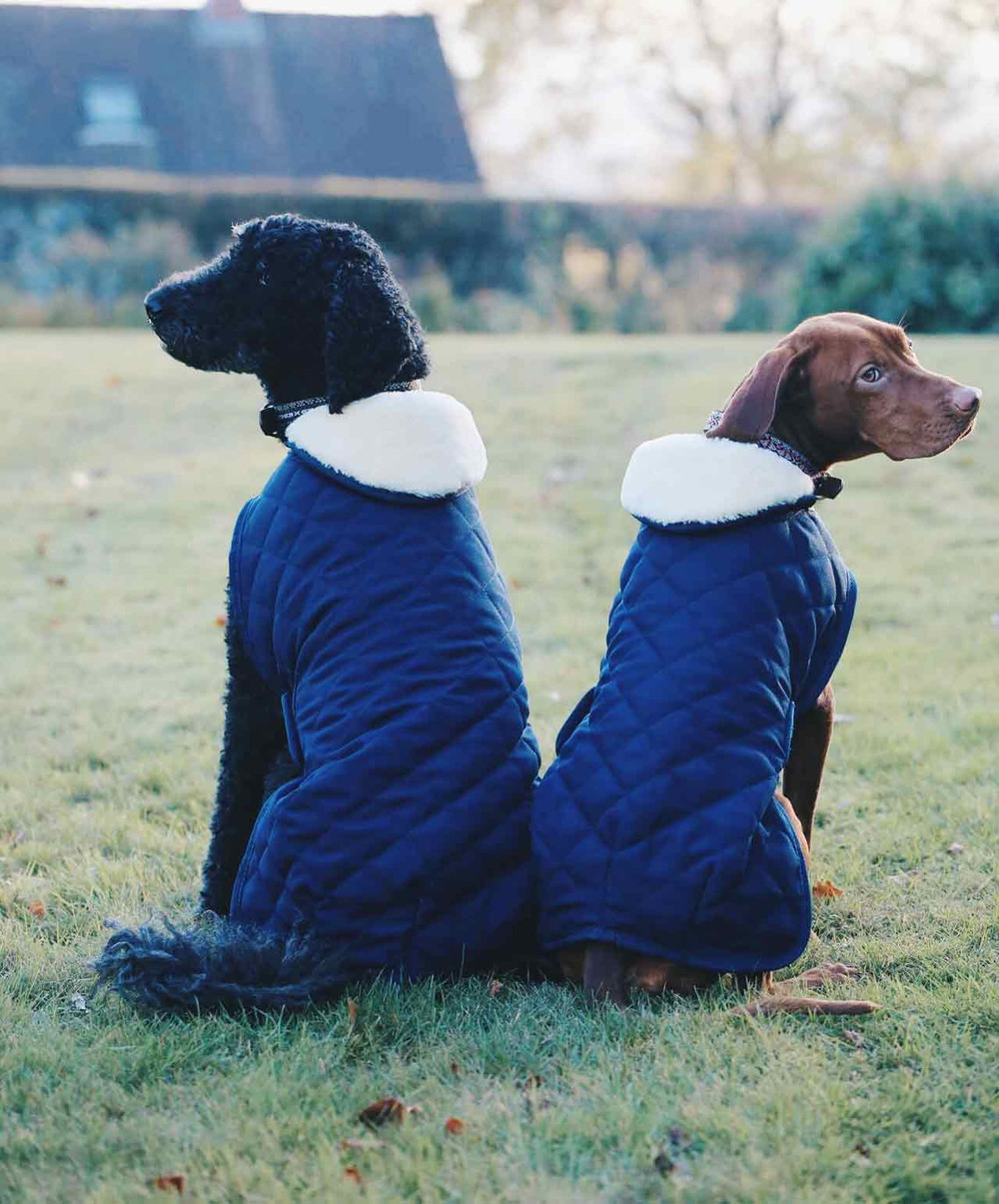 KENTUCKY 犬用コート バーガンディ XS KENTUCKY＞ Dog Coat Pearl（ドッグコート パール） - Horsy Net-Store