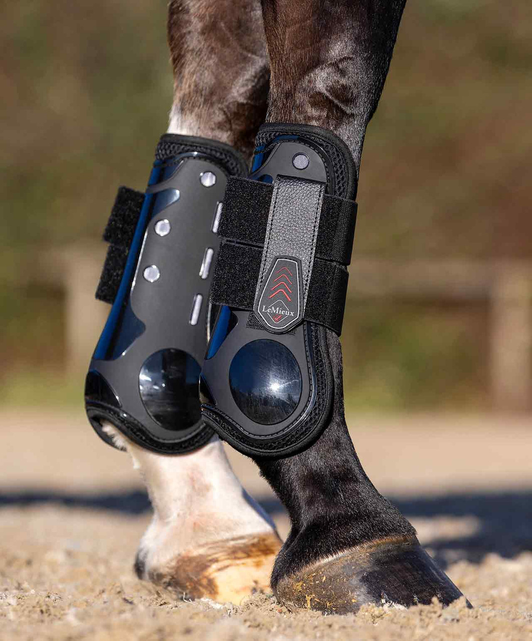 LeMieux Derby Pro Jump Tendon Boot Sprucewood Tack