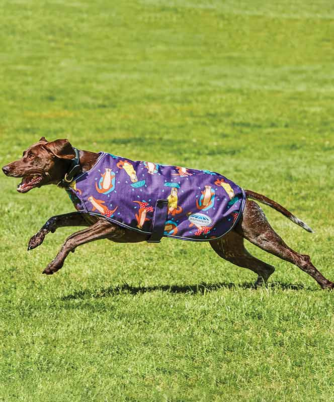 CLEAROUT Weatherbeeta ComfiTec Premier Free Dog Parka. Sprucewood Tack
