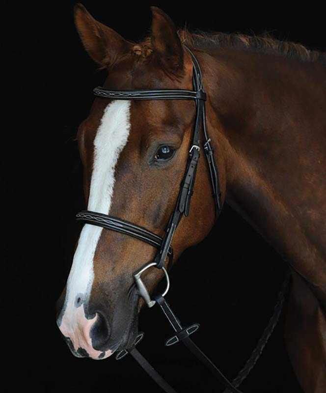 Collegiate Mono Crown Bridle