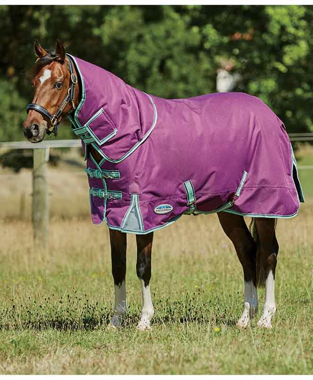 Weatherbeeta Comfitec Premier Freedom Pony Detach-A-Neck MEDIUM