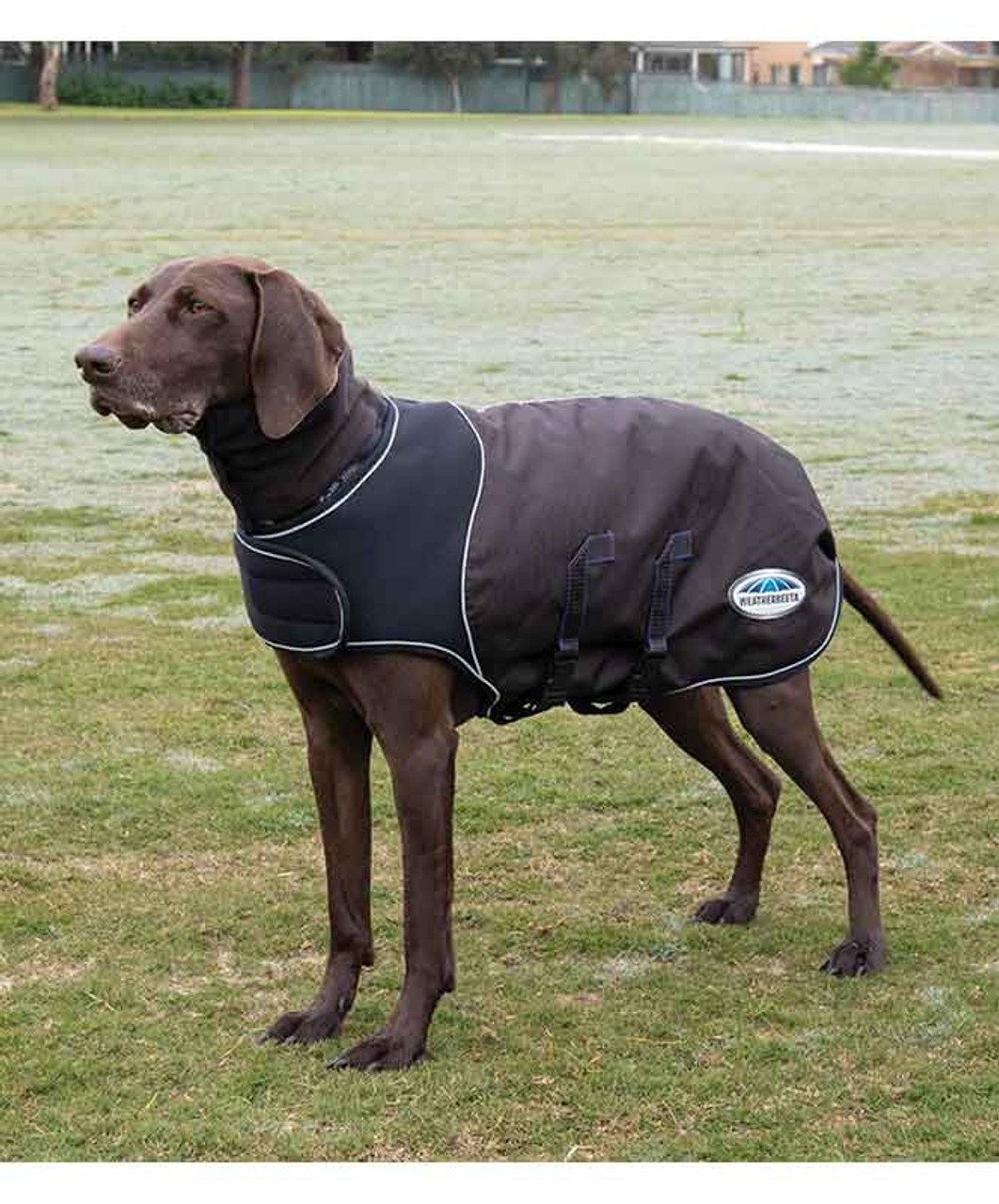 Weatherbeeta Comfitec Ultra Cozi Medium/Lite Dog Coat
