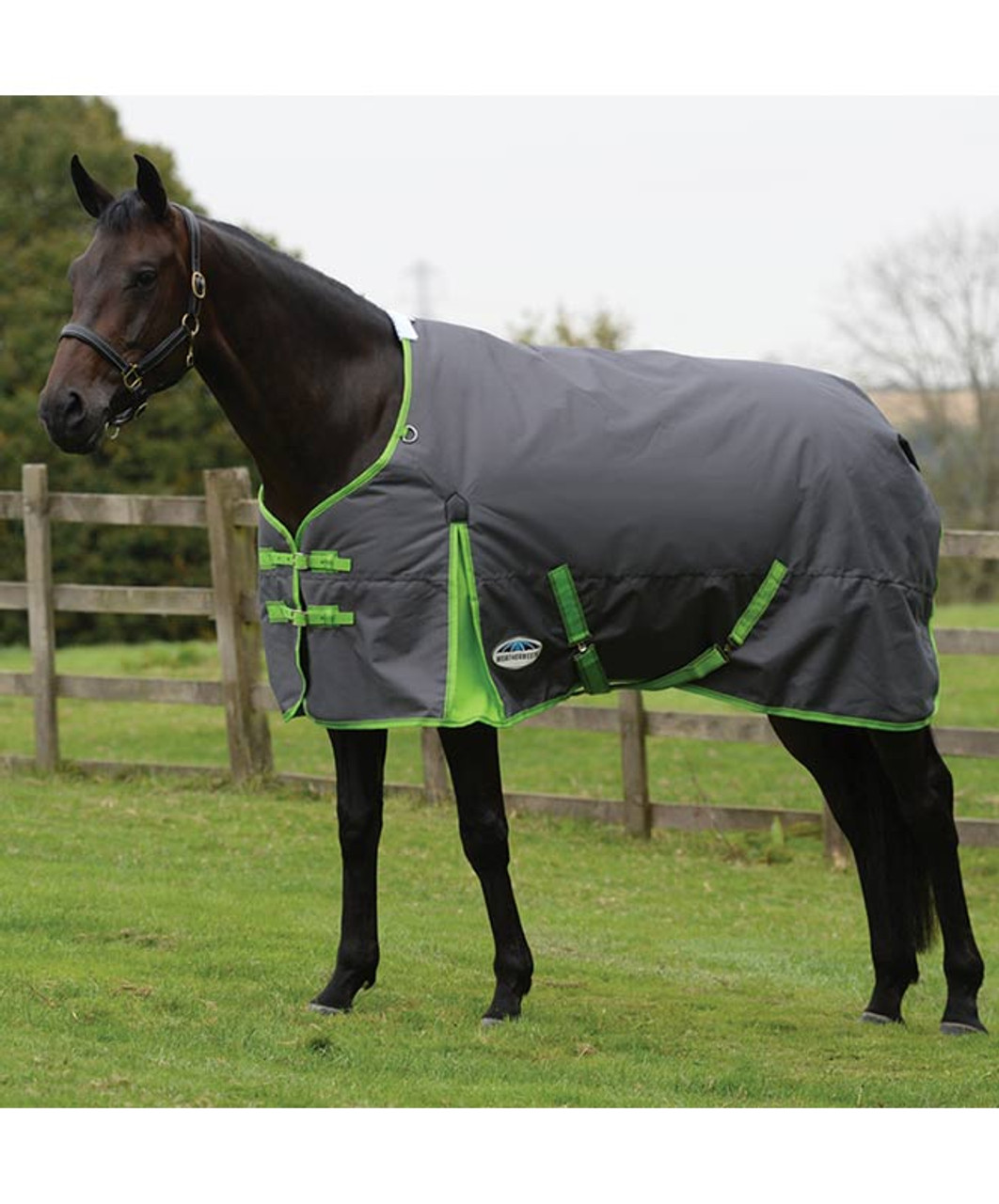 TGW RIDING Comfitec Essential Standard Neck Horse Turnout Sheet 1200D Waterproof and Breathable Horse Rain Sheet Lite More Colors 