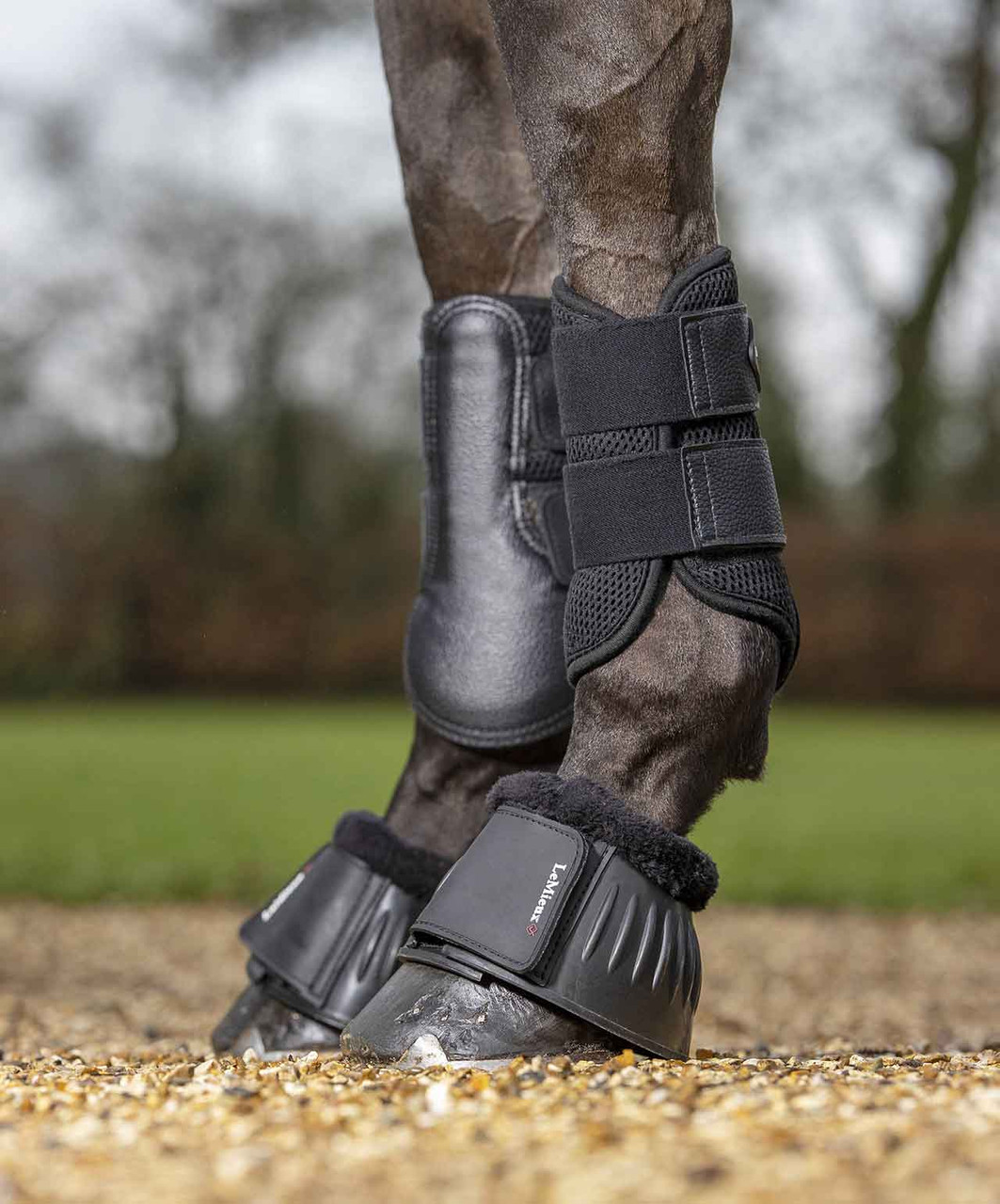 LeMieux Mesh Brushing Boots | Sprucewood Tack 