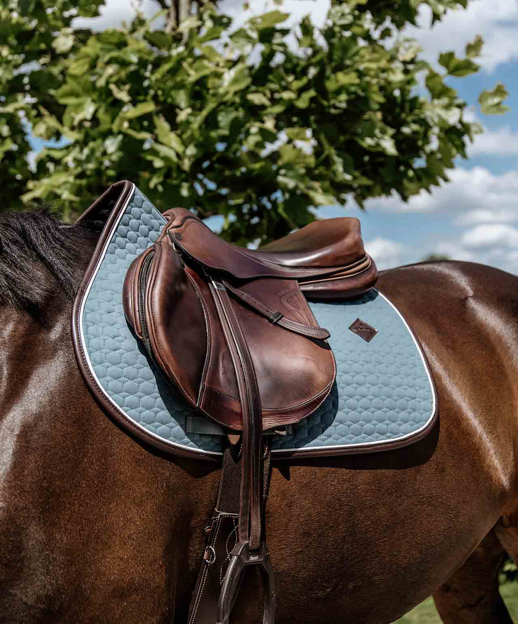 Kentucky Horsewear Kick Pad Schwarz | Schutz Für Pferdebeine, Hochwertiges Haustierzubehör