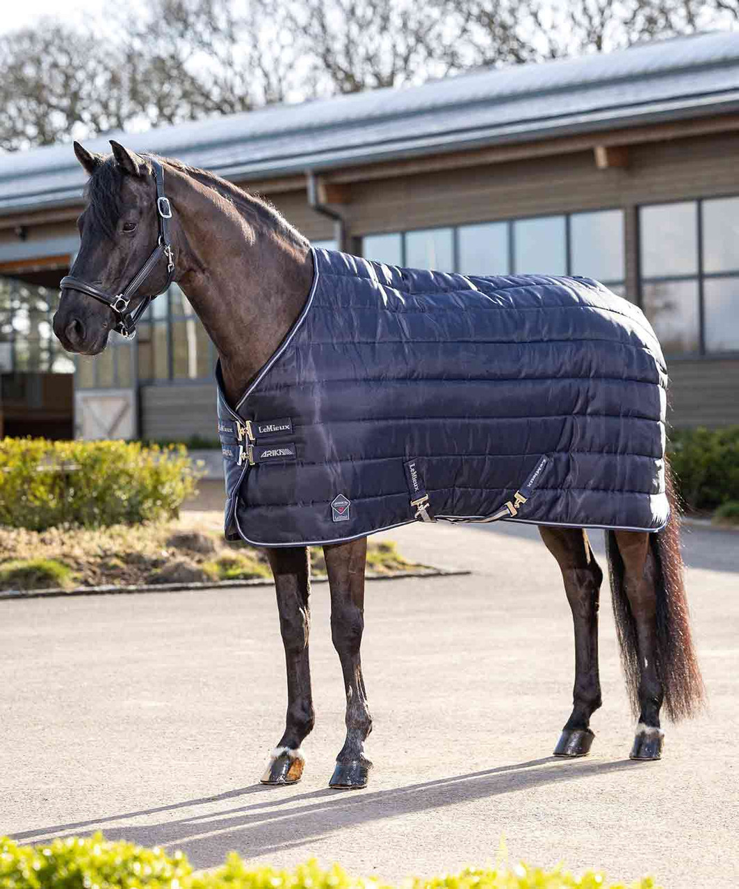 LeMieux Arika Storm-Tek Rug 50gr