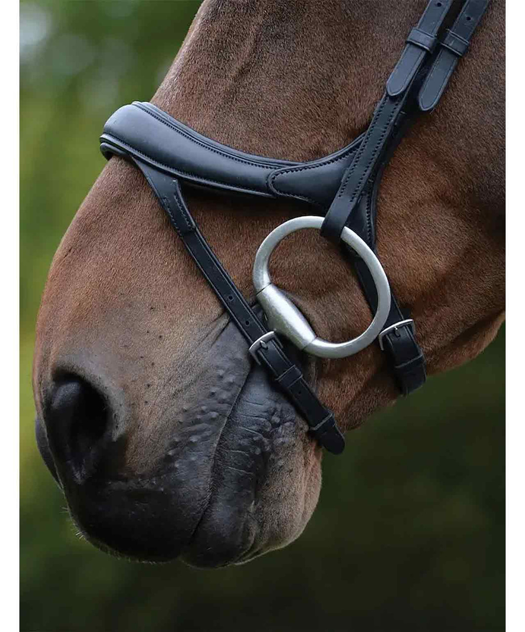 Collegiate Comfitec Vogue Anatomic Bridle - Thumbnail 4