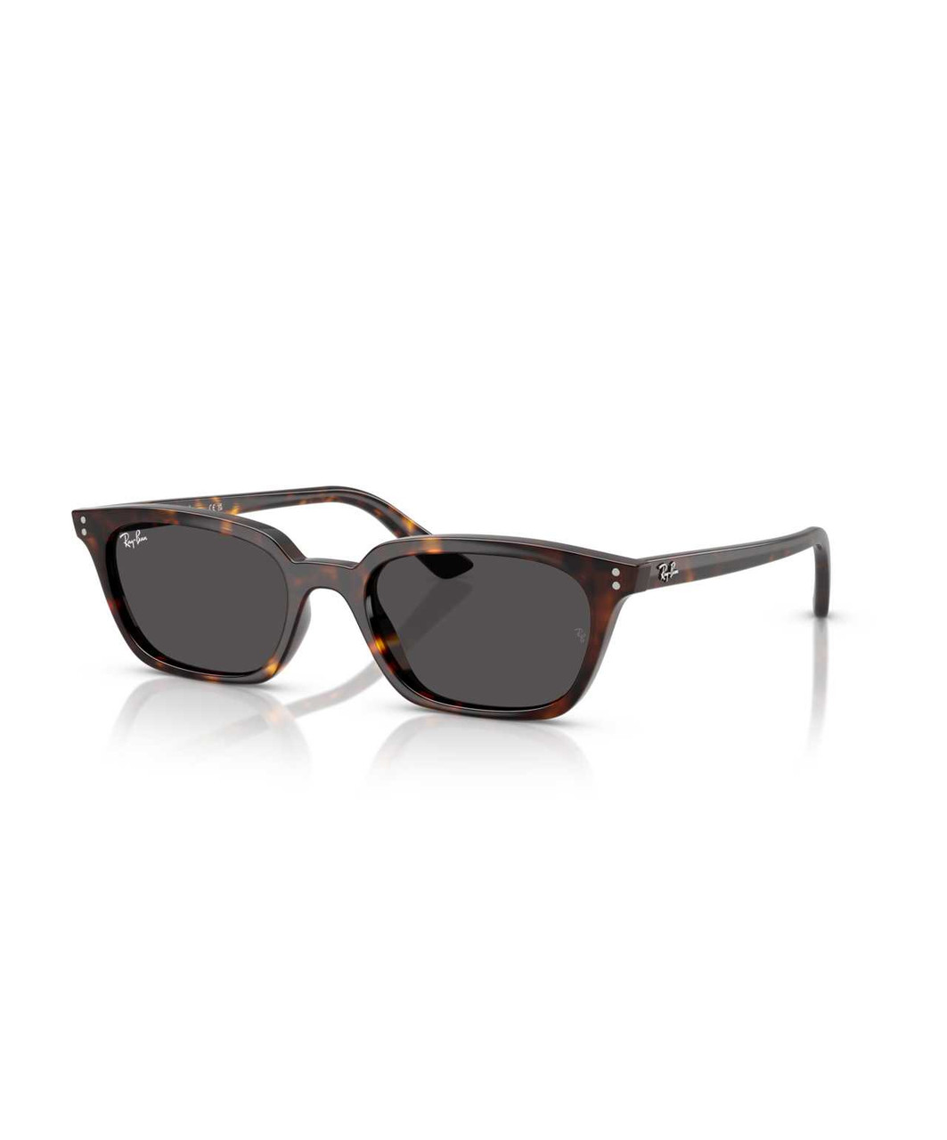 Ray-Ban Zaya Sunglasses - Sprucewood Tack