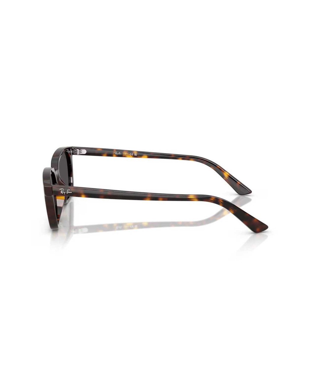 Ray-Ban Zaya Sunglasses - Sprucewood Tack