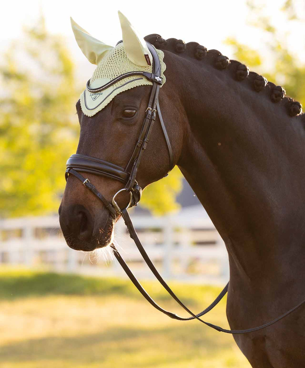 LeMieux Classic Fly Veil SS26 - Sprucewood Tack