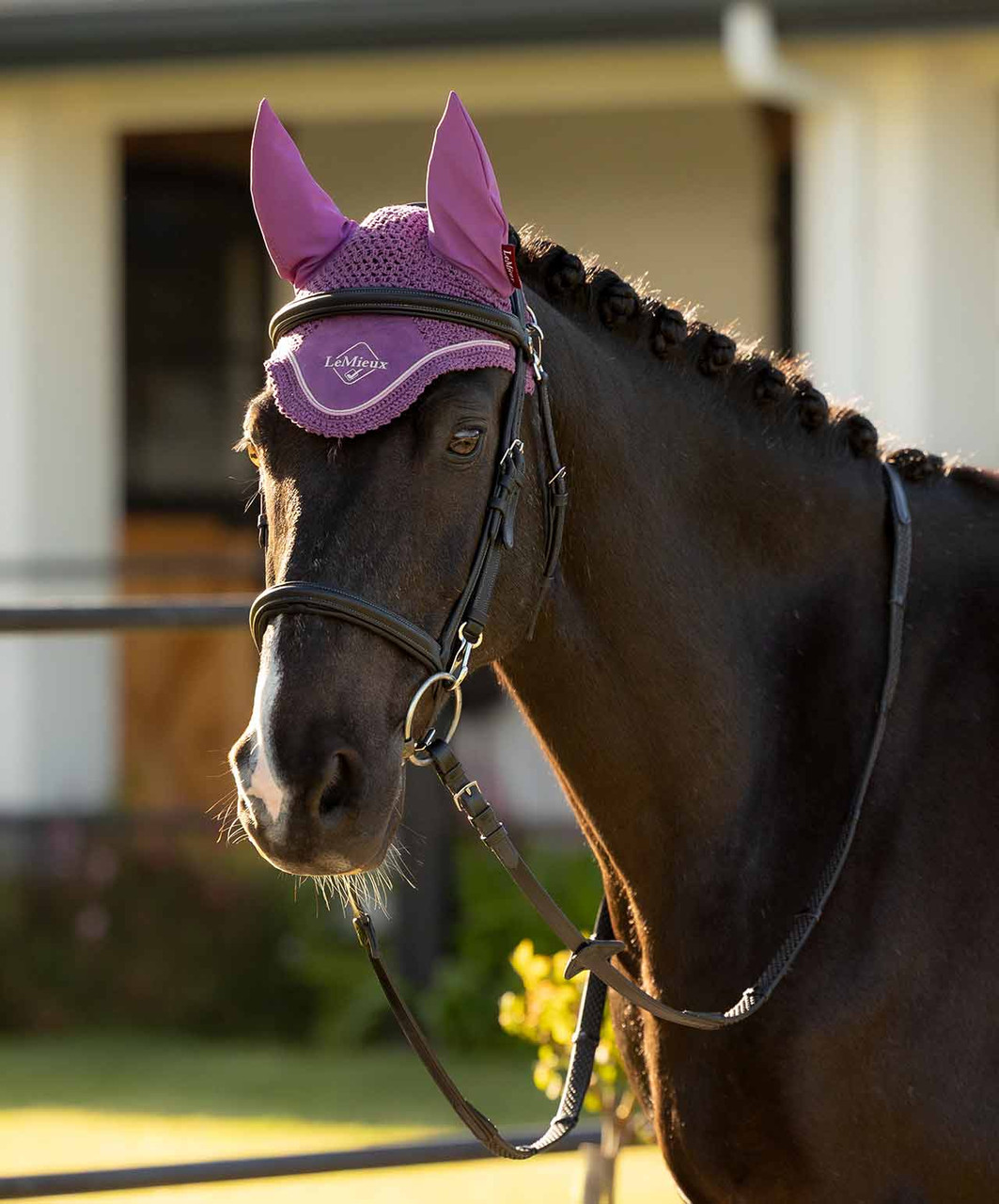 LeMieux Classic Fly Veil SS26 - Sprucewood Tack