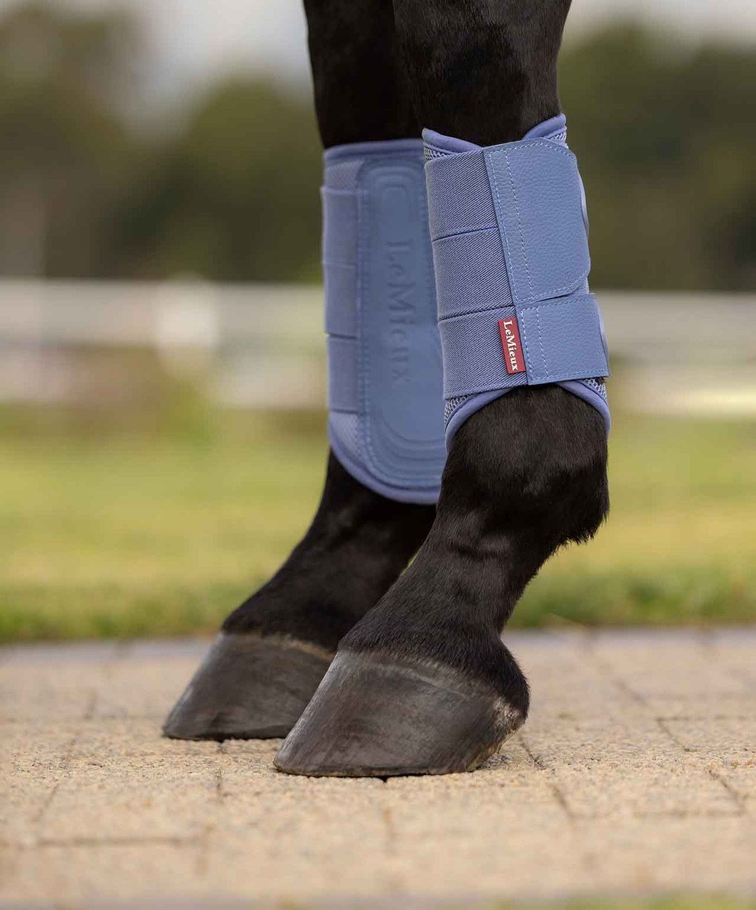 Étrier Lemieux Arika Cuir - 130 Cm - Réglable - Neuf Avec étiquette