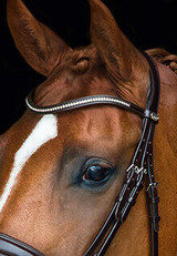 Browbands