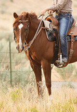 Western Tack