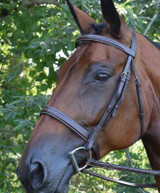 Black Oak Spruce Bridle - Square Raised with Fancy Stitching| Hunter Bridles|Brand: Black Oak