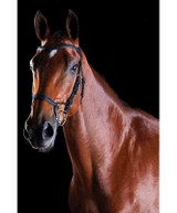 Collegiate Comfitec Training Bridle.