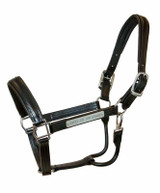 Walsh Dressage 1" Leather Halter