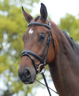 Kincade Bridle with Padded Crown and Flash.