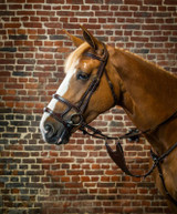 Dy'on Double Noseband Bridle.
