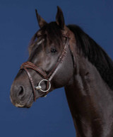 Dy'on Hunter Collection Anatomic Flash Noseband Bridle.