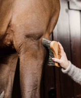 Kentucky Horsewear Middle Hard Brush.