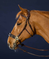 Dy'on D Collection Hackamore Bridle.