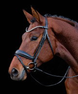 Schockemohle Siena Bridle.