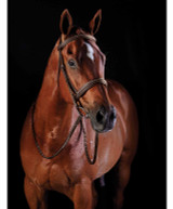 Collegiate Comfort Crown Fancy Stitched Raised Cavesson Bridle.