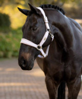 LeMIeux Versailles Halter FW25.