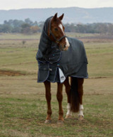Weatherbeeta ComfiTec Ultra Detach-A-Neck Heavy Blanket, Charcoal.