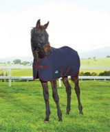 Weatherbeeta 1200D Foal Standard Neck Medium Turnout, FW25.