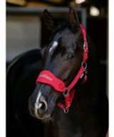 LeMieux Breakaway Vogue Halter & Lead.