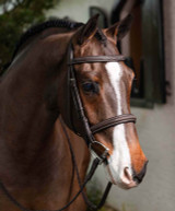 LeMieux Stitched Hunter Bridle with Laced Reins.