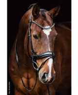 Schockemohle SP Isabell Werth Satchmo Patent Leather Bridle.