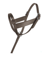 Lexington Foal Halter-Leather