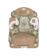 Dexypaws No-Pull Dog Harness Smaller Dog.