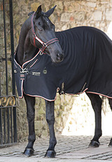 Horse Stable Sheets