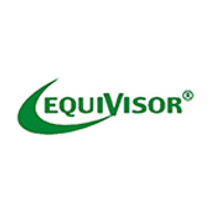 Equivisor