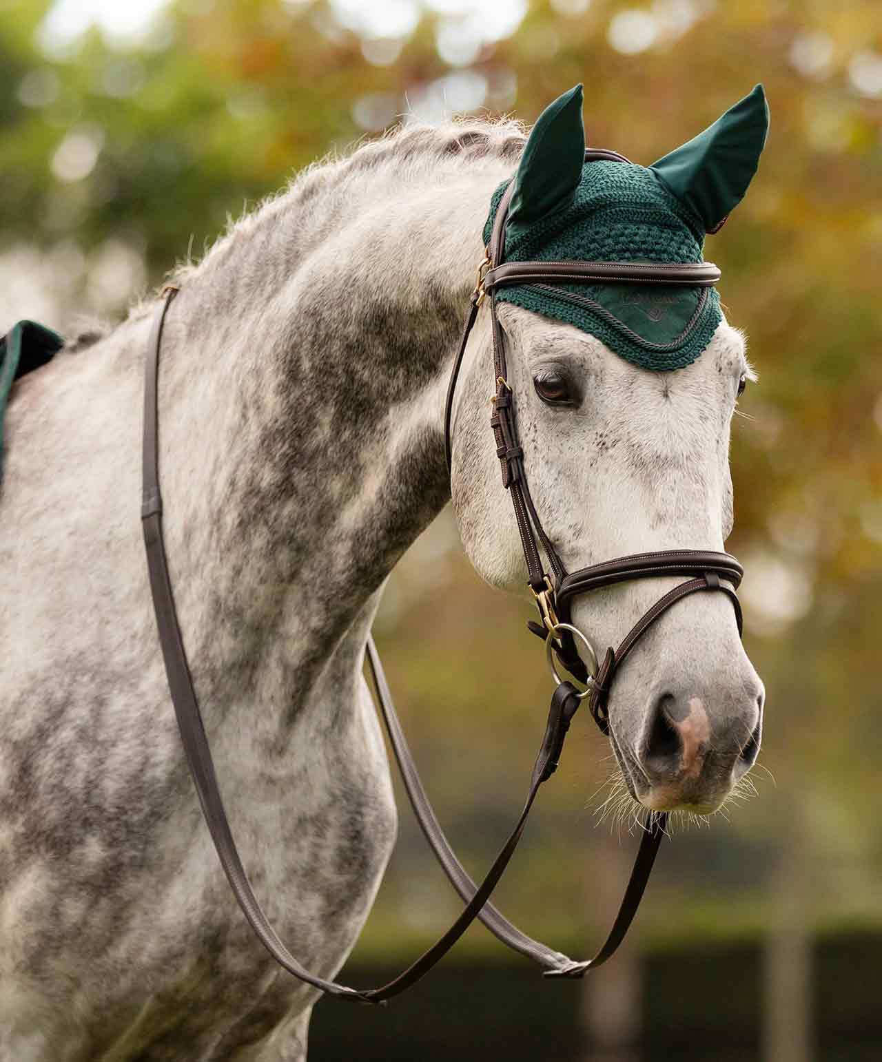 LeMieux - Sangle de dressage Integrated noir/ natural