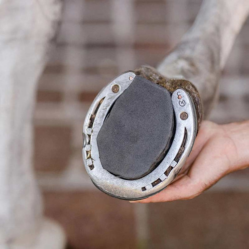 EquiFit Eva Foam hoof pads close-up on a horse's hoof and horseshoe.