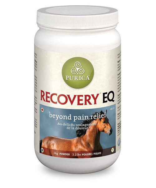 Recovery EQ 1kg