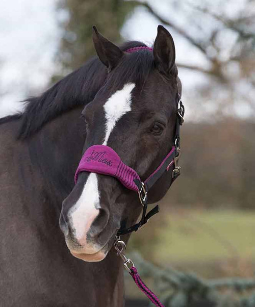 LeMieux Vogue Halter and Lead. LeMieux Vogue Halter and Lead.