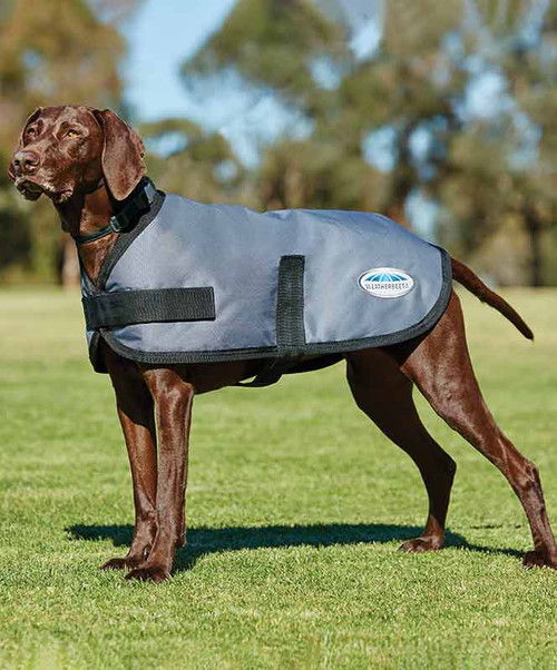 Weatherbeeta ComfiTec Classic Dog Coat