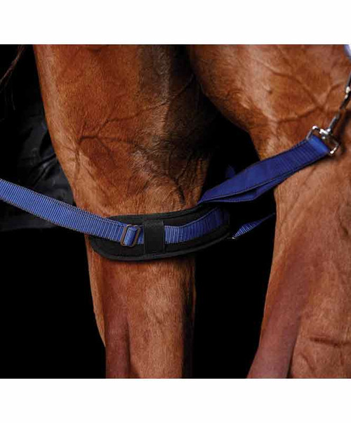 WB Padded Leg Straps