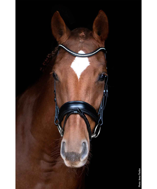 Schockemohle Stanford Anatomic Bridle, front.