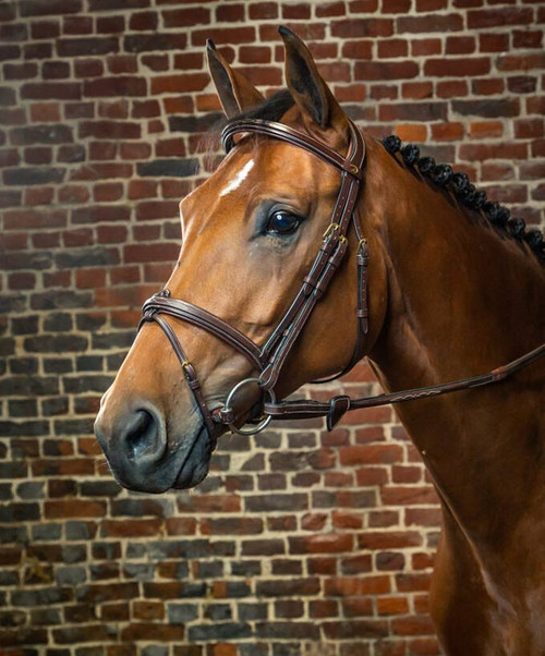 Dy'on D Collection Flash Noseband Bridle.