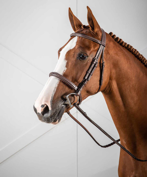Dy'on Hunter Collection Cavesson Noseband bridle.