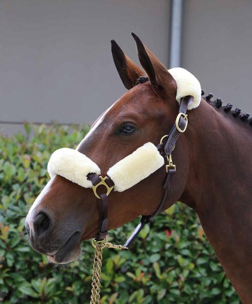 Kentucky Horsewear Faux Sheepskin Halter Set.